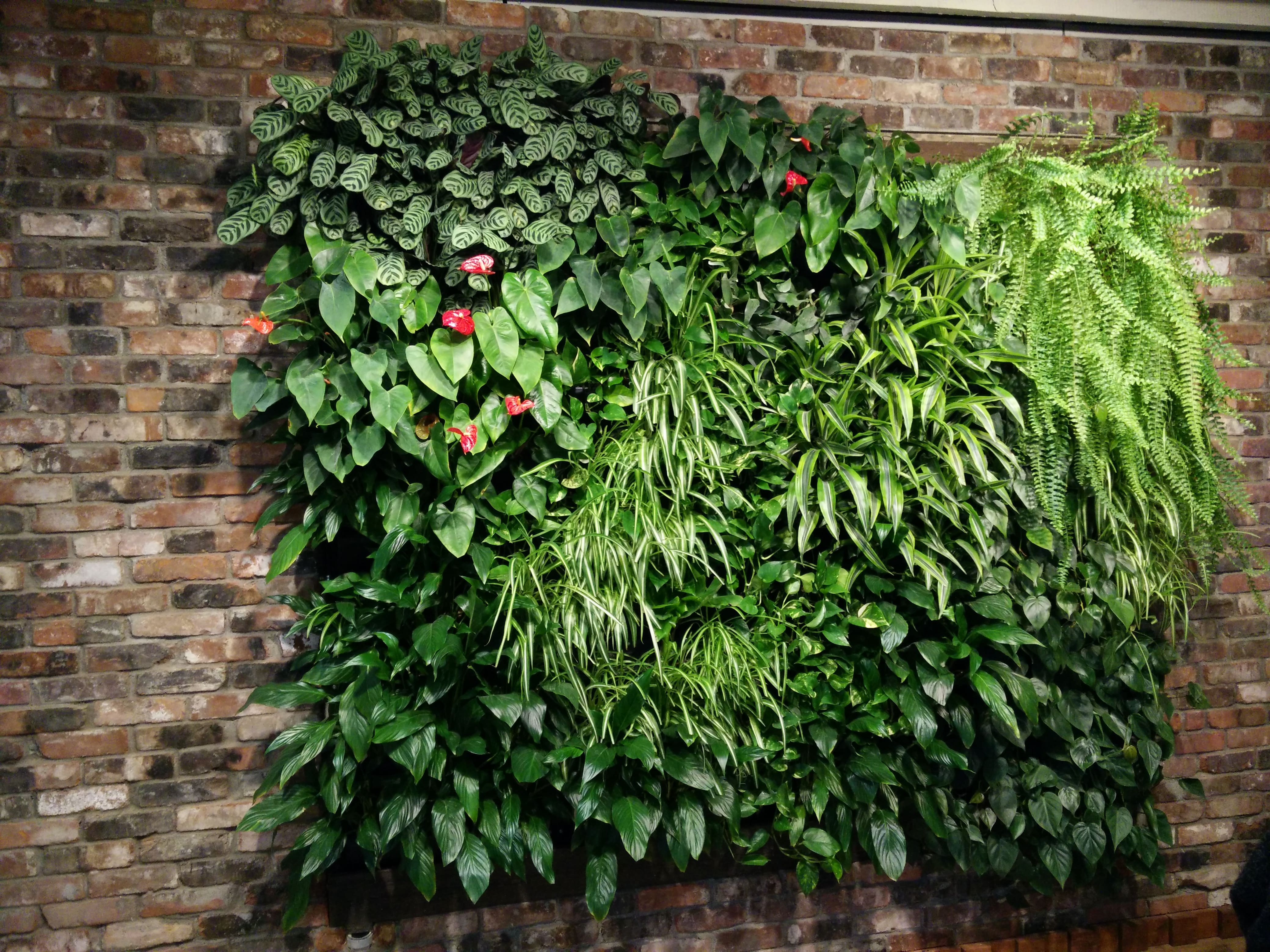 modulo living wall